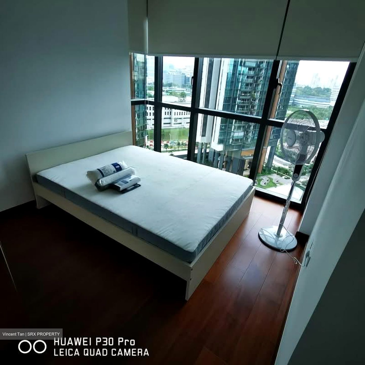 Normanton Park (D5), Apartment #582484791